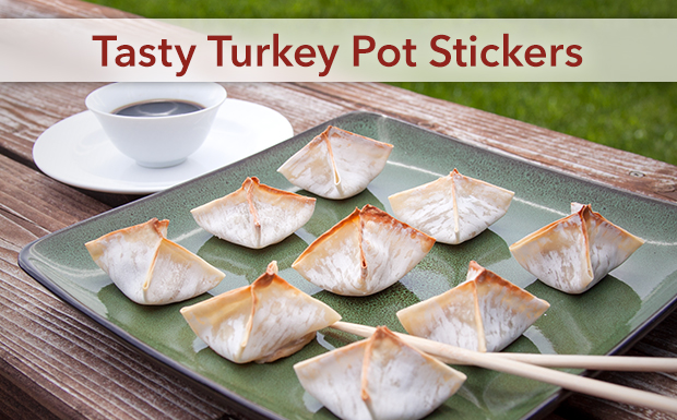 Tasty Turkey Pot Stickers