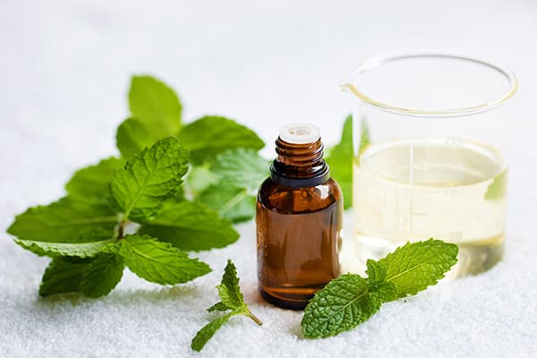 test-The Benefits of Spearmint